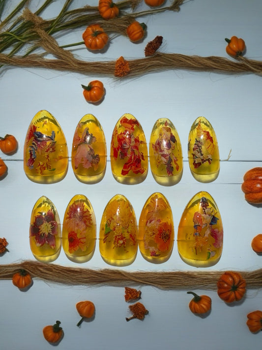 10pc almond yellow fall